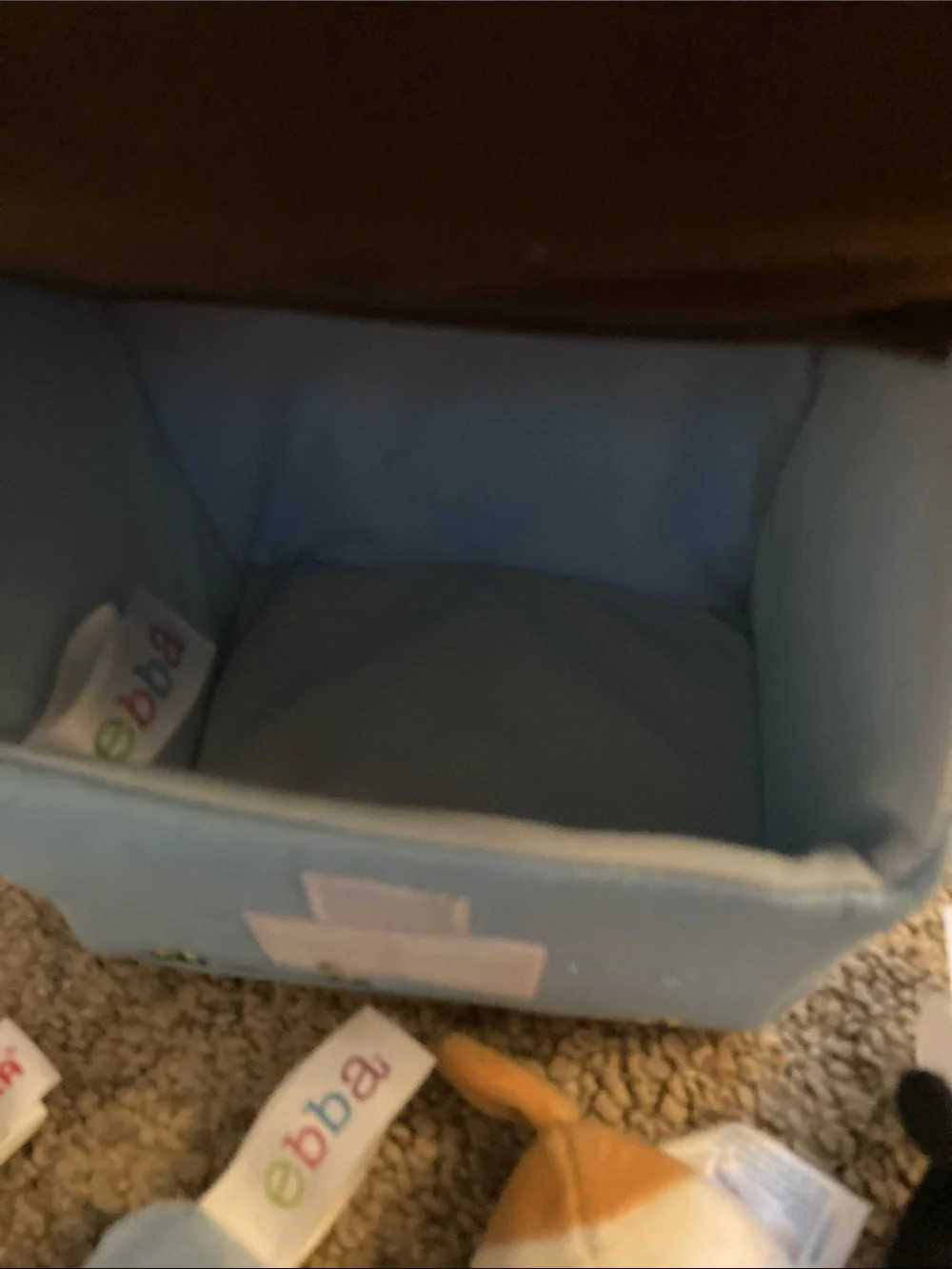 My first pet with soft case to store in .